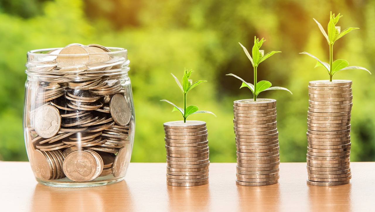 The ROI of Executive Coaching: Elevating Leaders, Teams, and Organizations